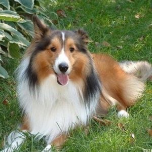 Meet your Posher, Clare